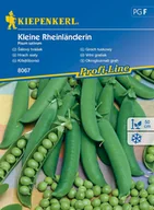Nasiona i cebule - Groch Łuskowy Kleine Rheinländerin 8067 (St) - miniaturka - grafika 1