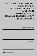 E-booki - prawo - Podnoszenie kwalifikacji zawodowych przez pracowników na gruncie kodeksu pracy oraz wybranych ustaw szczególnych - miniaturka - grafika 1