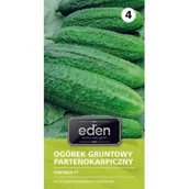 Nasiona i cebule - Ogórek gruntowy partenokarpiczny Partner F1 2 g Eden - miniaturka - grafika 1