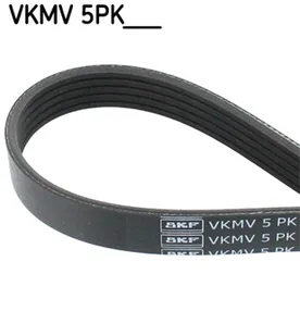 SKF Pasek klinowy wielorowkowy VKMV 5PK1100 - Mechanizmy rozrządu - miniaturka - grafika 1