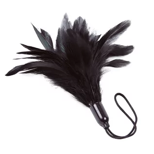 Akcesoria BDSM - Adrien Lastic Adrien Lastic Prestige Feather Tickler Black - grafika 1