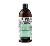 Szampony do włosów - Barwa Five Herbs szampon balansujcy 480ml - miniaturka - grafika 1