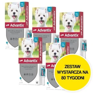 Krople na pchły i kleszcze BAYER Advantix Spot-on Małe psy (4-10 kg) 20 x 1 ml - Artykuły przeciw pasożytom - miniaturka - grafika 1