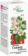 Serce i układ krążenia - PhytoPharm Intractum Crataegi 100 ml - miniaturka - grafika 1