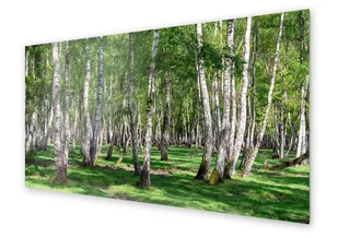 Panel kuchenny HOMEPRINT Brzozowy las latem 100x50 cm - Dekoracje domu Panel kuchenny HOMEPRINT Brzozowy las latem 100x50 cm - Dekoracje domu - miniaturka - grafika 1