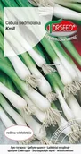 Nasiona i cebule - Nasiona Cebula Siedmiolatka Kroll 0,5g - Torseed - miniaturka - grafika 1