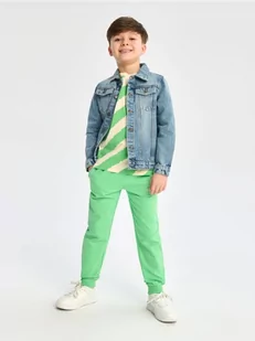 Sinsay - Spodnie dresowe jogger - zielony - Spodnie i spodenki dla chłopców - miniaturka - grafika 1