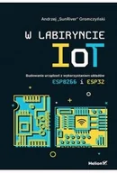 Książki medyczne - W labiryncie IoT. Budowanie urządzeń z wykorzystaniem układów ESP8266 i ESP32 - miniaturka - grafika 1