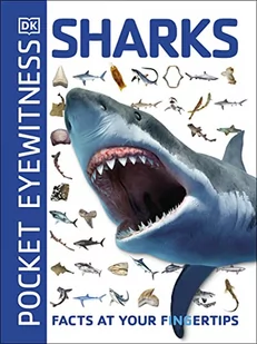 Dk Pocket Eyewitness Sharks - Obcojęzyczne książki dla dzieci i młodzieży - miniaturka - grafika 2