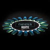 Lakiery hybrydowe - Neess Pyłek do paznokci hybrydowych Magpie Effect Zielony 2g 3574 - miniaturka - grafika 1