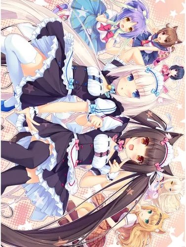 Plakat Anime Manga Nekopara np_031 A2 (custom)