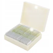 Mikroskopy i lupy - PJH-25 PREPARATY DO MIKROSKOPU - ZOOLOGIA 25SZT PRÓBKI SZKIEŁKA - miniaturka - grafika 1