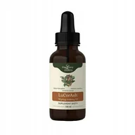 Suplementy naturalne - Magiczny ogród, LuCorAsh nalewka 1:1, 100ml - miniaturka - grafika 1