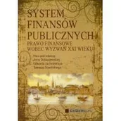 Ekonomia - System finansów publicznych - miniaturka - grafika 1