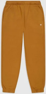 Champion Champion męskie spodnie polarowe 219424 Rue L - Spodnie sportowe męskie - miniaturka - grafika 1