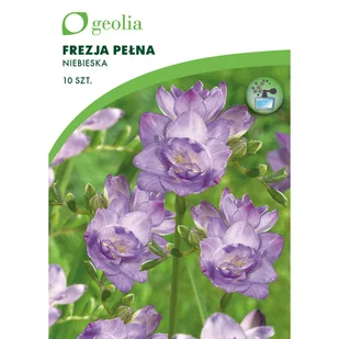 Frezja Double 10szt. cebulki kwiatów Geolia - Nasiona i cebule - miniaturka - grafika 1