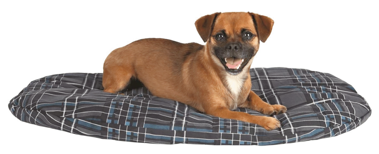 Trixie poduszka dla psa scoopy cudownym miękki, ok. 4  5 cm grubości poduszka do leżenia, beżowy 4011905372297