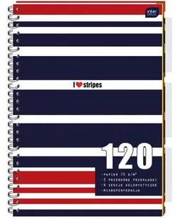 Inter-druk Kołozeszyt B5 120k. PP 75g kolorowe przekładki kratka ZG51INT - Szkolne artykuły papiernicze - miniaturka - grafika 1