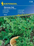 Nasiona i cebule - Seler naciowy GEWONE SNIJ nasiona Kiepenkerl - miniaturka - grafika 1