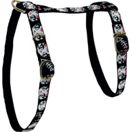 Szelki dla kotów - Szelki nylonowe dla kota LADYCAT 10 mm czarny ZOLUX - miniaturka - grafika 1