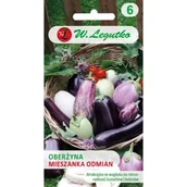 Nasiona i cebule - Bakłażan Mieszanka Odmian 0,5 g (ST) - miniaturka - grafika 1