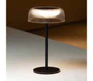 Lampy ogrodowe - Zuma Line DT33111-LED Ściemn. sol. ład. lampa BLUET LED/2,5W/2000 mAh IP44 czarny - miniaturka - grafika 1