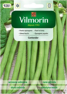 Fasola szparagowa karłowa zielona Contender 30 g Vilmorin - Nasiona i cebule - miniaturka - grafika 1