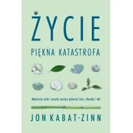 Rozwój osobisty - Życie, piękna katastrofa - miniaturka - grafika 1