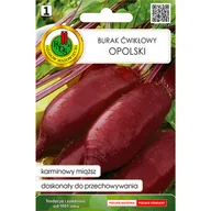 Nasiona i cebule - Burak ćwikłowy Opolski nasiona Pnos - miniaturka - grafika 1