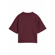 Koszulki sportowe damskie - Damska koszulka polo PUMA Class o luźnym kroju PUMA Ruby Shimmer Red - miniaturka - grafika 1
