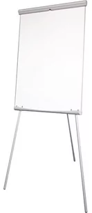 2x3 Flipchart ECOBOARDS MAGNETYCZNY TF01 ECO - Tablice i flipcharty - miniaturka - grafika 1