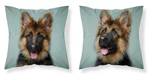 Detexpol Poszewka 40x40 bawełniana owczarek MF017_20220409115322 - Poszewki na poduszki - miniaturka - grafika 1