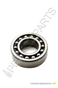 Części i akcesoria do maszyn rolniczych - Łożysko wałka przenośnika pochyłego New Holland CASE CNH 210034 - 80210034 - miniaturka - grafika 1