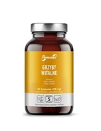 Suplementy naturalne - Panaseus Grzyby witalne suplement diety 50 kaps. - suplement - miniaturka - grafika 1