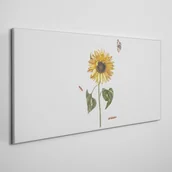 Obrazy i zdjęcia na płótnie - Obraz Canvas Kwiaty Rośliny 100x50cm - miniaturka - grafika 1