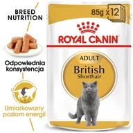 Mokra karma dla kotów - Royal Canin bytówka British Shorthair Adult saszetka 12x85g Sos) 16450-uniw - miniaturka - grafika 1