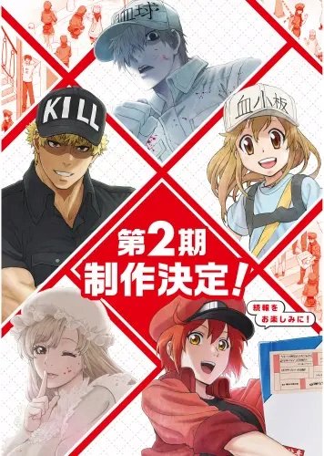 Plakat Anime Cells at Work hs_004 A3 (custom)