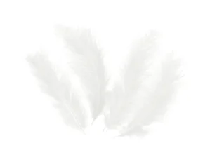 Piórka dekoracyjne białe długie - 50 szt. - Dekoracje i nakrycia stołu na imprezę - miniaturka - grafika 1