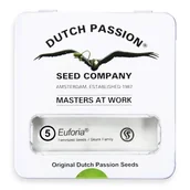 Nasiona i cebule - Nasiona konopi Dutch Passion - Euforia (fem) 5 szt. - miniaturka - grafika 1