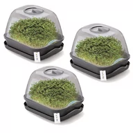 Szklarnie ogrodowe - Kpl. 3 sztuki Rozsadnik Domowy Mini-Szklarnia 25,7x18,5cm Antracyt - miniaturka - grafika 1