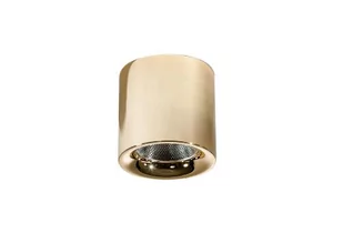 Azzardo MANE AZ4154 downlight natynkowy 1x20W/LED IP20 AZ4154 - Lampy sufitowe - miniaturka - grafika 1