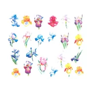 Ozdoby do paznokci - Allepaznokcie Naklejki wodne do paznokci Nr BN 1765 - miniaturka - grafika 1