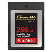 Karty pamięci - SanDisk EXTREME PRO CFexpress 256GB (SDCFE-256G-GN4NN) - miniaturka - grafika 1
