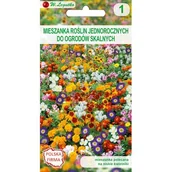 Nasiona i cebule - Mieszanka roślin jednorocznych do ogrodów skalnych 20-30 cm W.Legutko - miniaturka - grafika 1