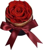 Sztuczne kwiaty - ToPrezent.pl Flower Box - Wieczna Prawdziwa Róża - miniaturka - grafika 1