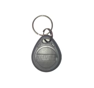 Brelok Rfid Tk4100 125 Khz Szary 5 Szt. - Domofony - miniaturka - grafika 1