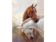Rękodzieło - Haft Diamentowy, Obraz, Mozaika Diamentowa Diamond Painting, DWA KONIE 30x40cm - miniaturka - grafika 1