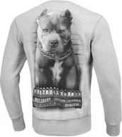 Bluzy sportowe męskie - Pit Bull Bluza Mugshot Crewneck Grey Melange - miniaturka - grafika 1