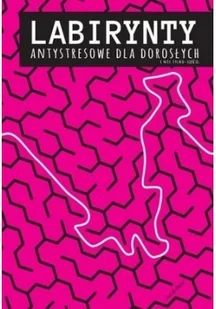 Labirynty antystresowe dla dorosłych i nie tylko - Rozwój osobisty - miniaturka - grafika 2