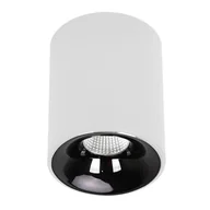 Lampy sufitowe - Metalowa lampa sufitowa Tom LP-4848/1RM WH LED 5W 3000-6000K biała czarna - miniaturka - grafika 1